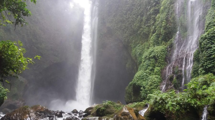 Hobby Hacking? Ketahui dulu  Tips Penting Sebelum Menjelajah Hutan