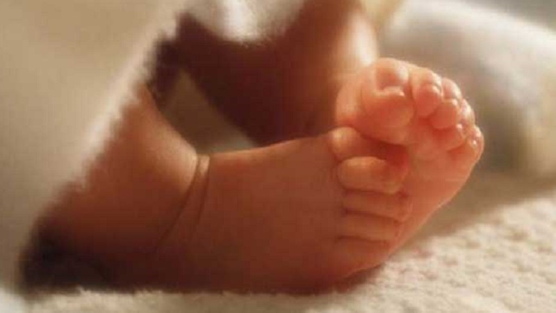 Diceburkan ke Kolam oleh Ibunya, Bayi 7 Bulan Ini Selamat