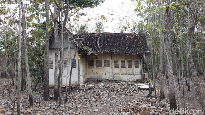 Menengok Rumah Tua di Tengah Kebun Jati Gunungkidul yang Viral