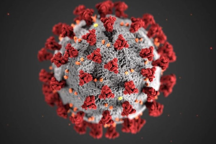 Update Corona Indonesia 13 Oktober: Tambah 33.946 Positif Baru, Total Jadi 340.662