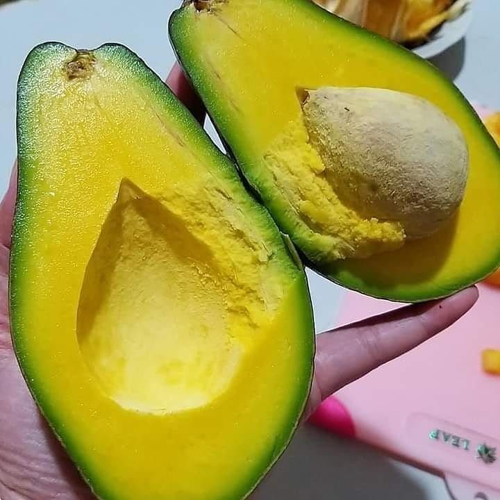 Bisa Timbulkan Penyakit! Jangan Campurkan 5 Buah Ini dengan Susu